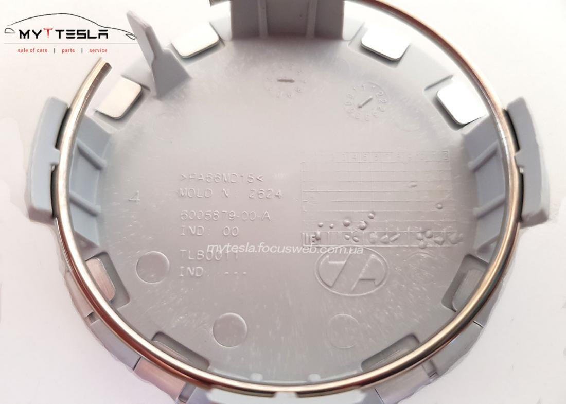 Купити Ковпачок (орнамент) колісного диска SILVER до Tesla | 6005879-00-A